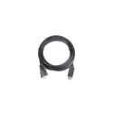 Gembird CC-DPM-DVIM-6 video cable adapter 1.8 m DisplayPort DVI Black