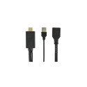 Gembird A-HDMIM-DPF-01 video cable adapter 0.1 m HDMI Type A (Standard) DisplayPort + USB Type-A Bla