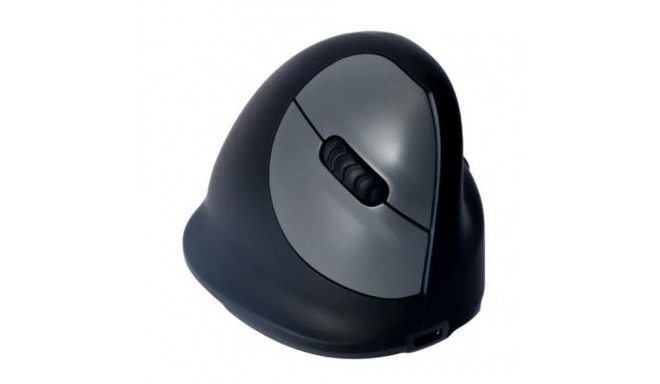 MOUSE USB OPTICAL BREAK/BLACK RGOHBRSWLBL R-GO TOOLS