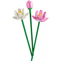 "LEGO Botanical Collection Lotusblumen"