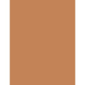 Rimmel London Kind & Free Blur It Out Mattifying Skin Tint (30ml) (503 Mocha)
