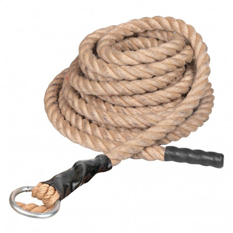 Netex ronimisköis džuudist 6m