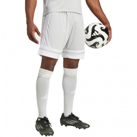 Adidas meeste lühikesed püksid Squadra 25 JH3413 S, hallid