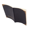HARRY POTTER Tom Riddle´s Diary Notebook, pen & torch