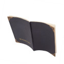 HARRY POTTER Tom Riddle´s Diary Notebook, pen & torch