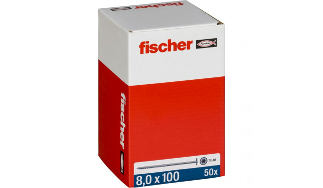Fischer PowerFast II 8,0x100 TK TX TG blvz 50