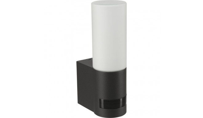 Steinel L605 ANT Outdoor Light