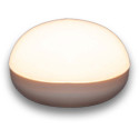 New Garden COCO BATTERY BULB RGB IP68