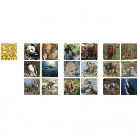 Ambassador Memo Animal Families