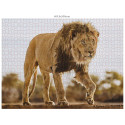 Ambassador Wildlife 3x1000 Pieces (Donal Boyd)