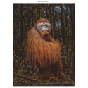 Ambassador Wildlife 3x1000 Pieces (Donal Boyd)