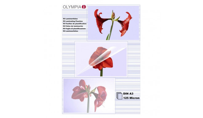 1x50 Olympia lamineerimiskiled DIN A3 125 mikronit 9175