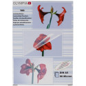 1x100 Olympia lamineerimiskile DIN A5 80 mikronit