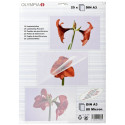 1x25 Olympia lamineerimiskile DIN A3 80 mikronit 9180