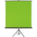Hama Roheline Taust Kangaga ja Statiivi 180x180cm 2in1