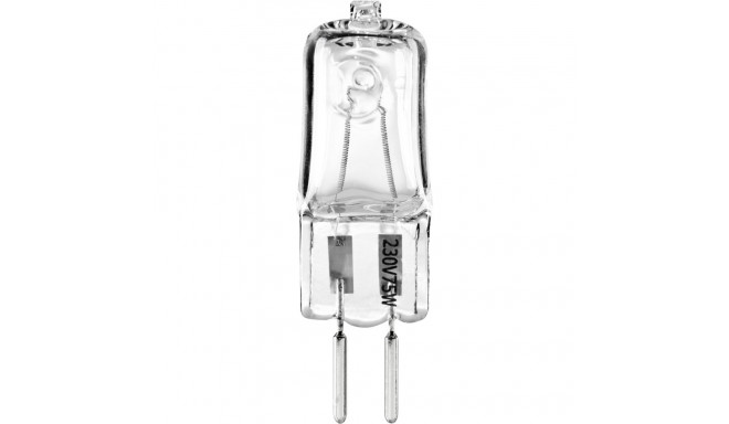 Walimex pro Modeling Lamp VT-100/150/200/300, 75W