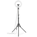 Hama SpotLight Steady 120 II LED rõngaslamp nutitelefoni jaoks