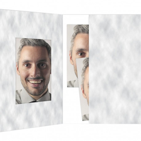 1x100 Daiber kaustad passi foto, hall 45x65 mm