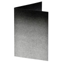 1x100 Daiber Folders Passport Photograph black/silver 31x42 mm