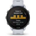Garmin Forerunner 955 Solar Whitestone/must
