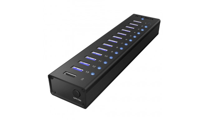 ICY BOX IB-AC6113 13-Port USB 3.0 Hub