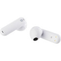TimeKettle WT2 Edge offline portable translation device