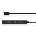 RaidSonic ICY BOX IB-DK4011-CPD USB Type-C dokkimisjaam