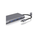 Raidsonic IB-DK4040-CPD Notebook Dockingstation