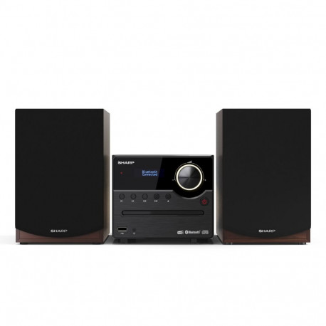 Sharp XL-B517BR pruun