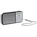 Technisat TechniRadio RDR hõbedane