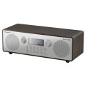 Panasonic RF-D100BTEGT brown