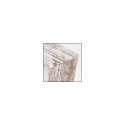 ZEP Nelson 6 30x30 Puidust Raam valge/pruun V21306