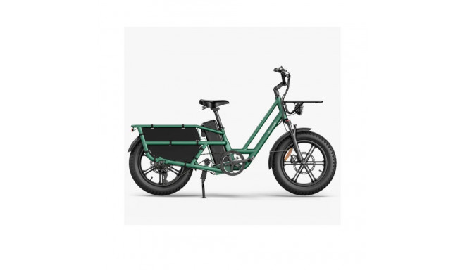 Elektriline kargoratas FIIDO T2 Longtail Cargo, Forest Green