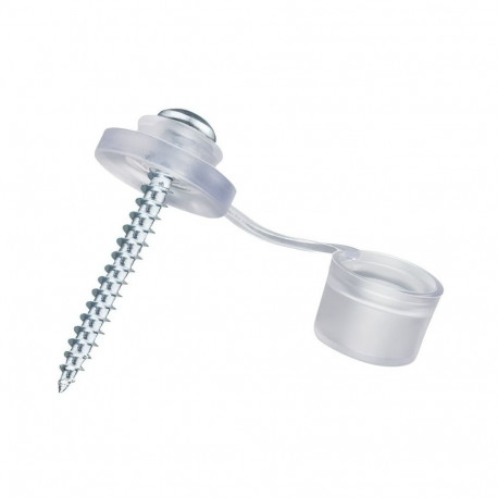 Katusekruvid 4,5x45 mm koos seibi ja kattekorgiga - 100 tk