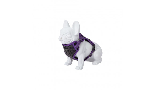 Freedog Boreal sirelilillad traksid koerale 15mm 34-63cm