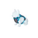 Freedog Boreal kaprisinised traksid koerale 15mm 34-63cm