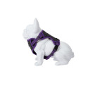 Freedog Boreal sirelilillad traksid koerale 20mm 38-75cm