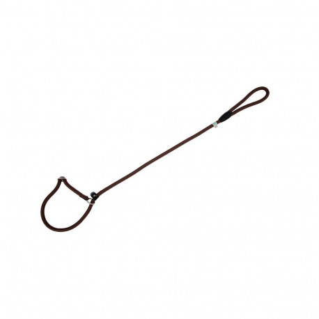 Freedog pruun kaelarihm-jalutusrihm koerale 13mm x 120cm