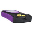 Ermenrich Ping RD50 Radiation Detector