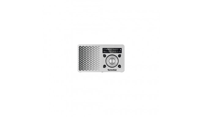 TechniSat Digitradio 1 DAB+ Radio silber