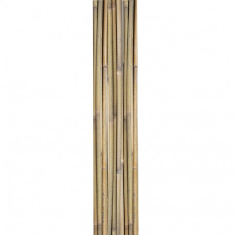 Bambuskepid taimede toestamiseks IN GARDEN H180cm 10tk D12/14mm