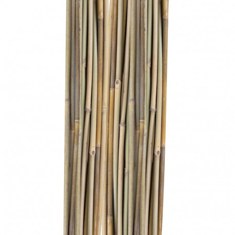 Bamboo canes IN GARDEN H120cm 20pcs/set D8/10mm