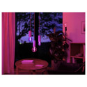 Philips Hue WCA Lightguide ST72 | E27 | 6.8 W | White and colour light