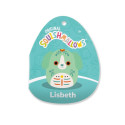 Squishmallows W21 pehme mänguasi, 19 cm