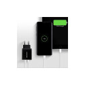 Axagon kahepesaline seinalaadija 240V/2x port 5V-2.2A ja 5V-1A, 16W | ACU-DS16