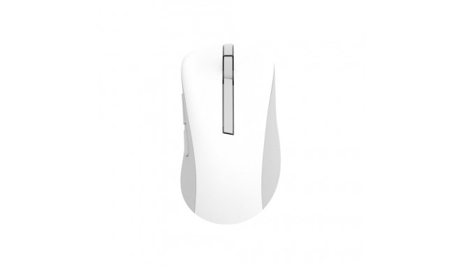 Asus Wireless Mouse | MD102 | Mouse | 2.4 GHz, Bluetooth | White