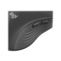 Logitech Signature M650 L vasak juhtmevaba hiir, RF juhtmevaba + Bluetooth, 2000 DPI, grafiit