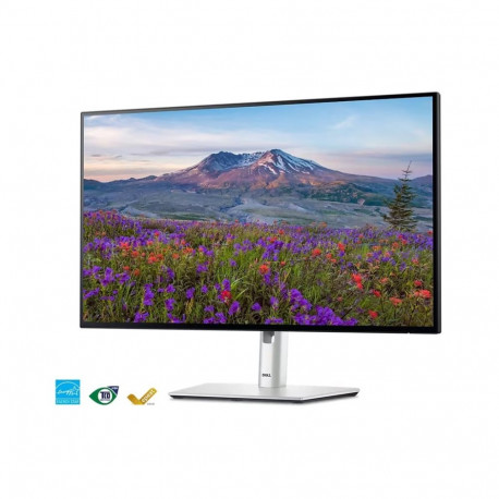 Dell U2424HE 24" IPS 16:9 120 Hz 5 ms hõbedane monitor