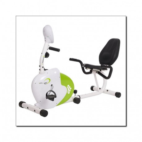 Horizontal magnetic bicycle white and green HMS R9259