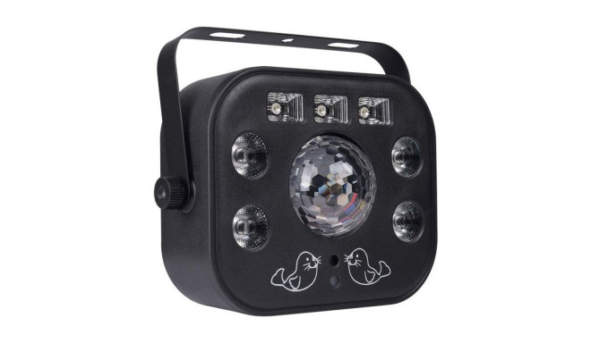 LIGHT4ME multiefekt Multiphase UV LED